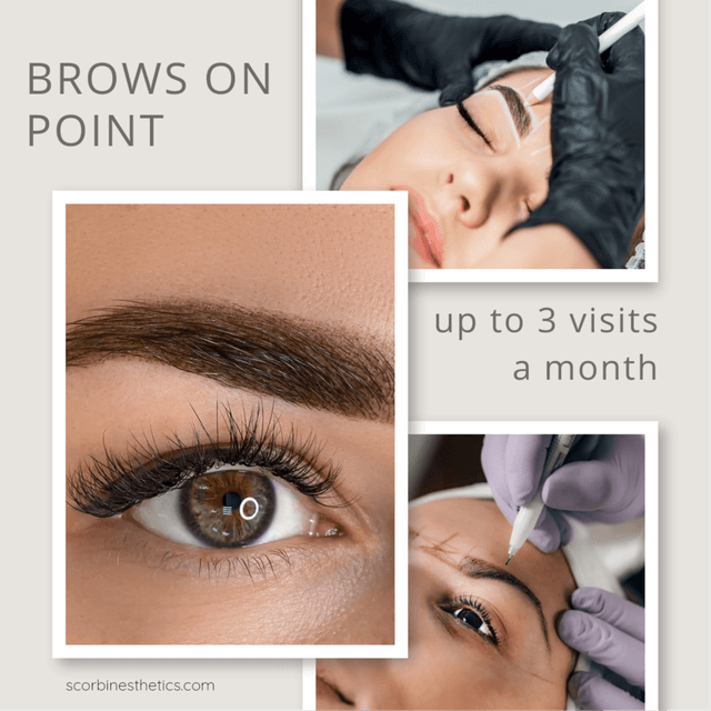 Brows On Point Bundle at S.Corbin Esthetics in Waller, TX